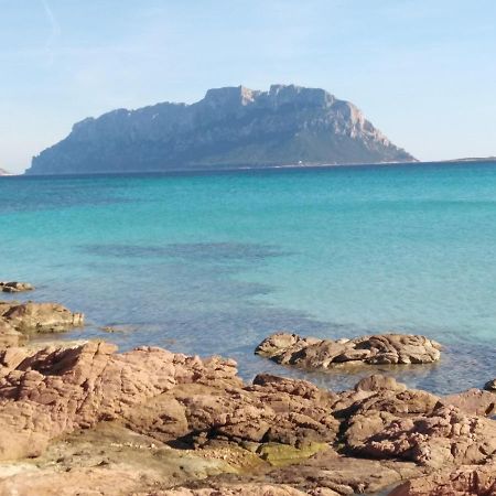 Aria Di Vacanza - Gelsi Olbia Exterior photo